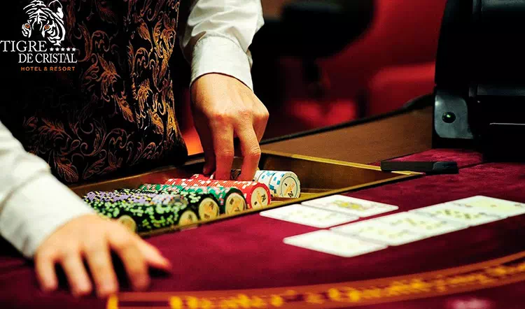 Покер в казино Тигре де Кристал Tigre de Cristal покер